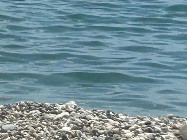 Dolphin House Villa Riposto